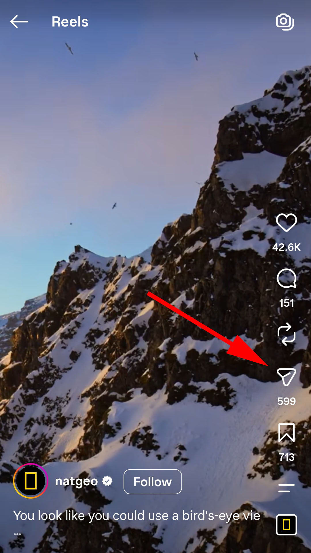 The Share button on an Instagram post